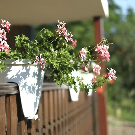 Panorama Apartmanhaz * Sárvár