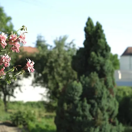 Panorama Apartmanhaz