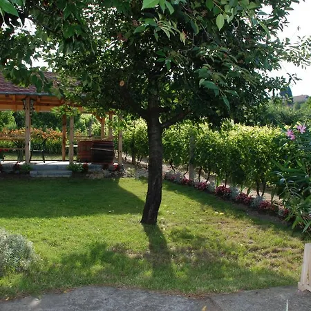 Panorama Apartmanhaz Lejlighed *